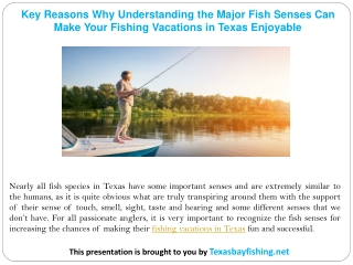 Key Reasons Why Understanding the Major Fish Senses Can Make Your Fishing Vacations in Texas Enjoyable