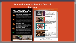 Dos and Don’ts of Termite Control Services