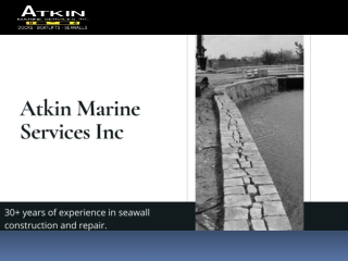 Dock Piling Restoration companies