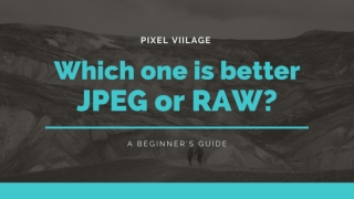 Which one is better JPEG or RAW ? By Pixel Viilage