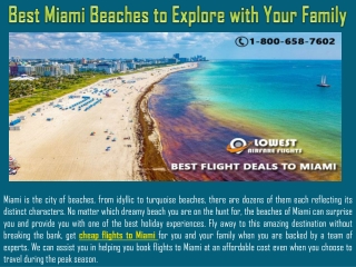 Best Miami Beaches to Explore with Your Family