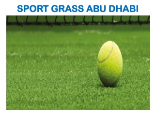 Buy Best Sport Grass In Dubai