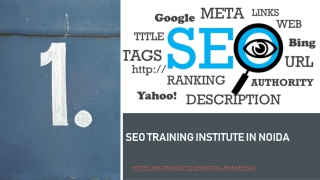 SEO Training institute in Noida