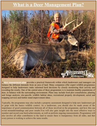 What is a Deer Management Plan