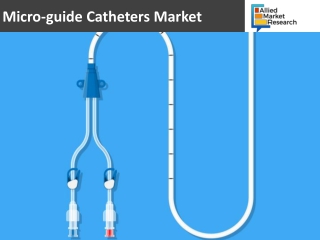 Micro-guide Catheters Market Poised to Achieve Significant Growth in the coming Years