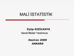 MALI ISTATISTIK