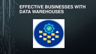 Effective Businesses with Data Warehouses