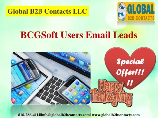 BCGSoft Users Email Leads