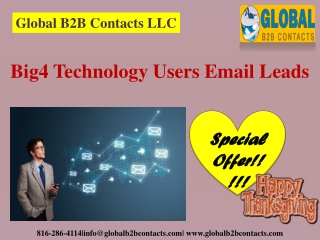 Big4 Technology Users Email Leads