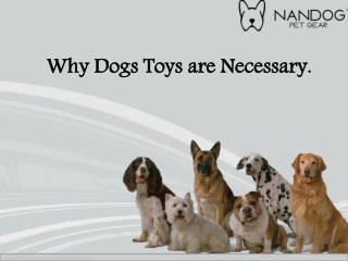 Why Dogs Toys are Necessary.