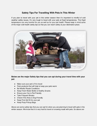 Safety Tips For Travelling With Pets In This Winter