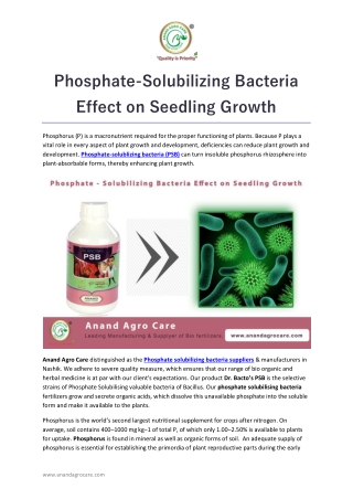 Phosphate-Solubilizing Bacteria Effect on Seedling Growth
