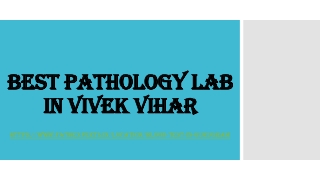 Best pathology lab in Vivek Vihar