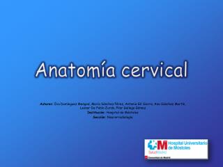 Anatomía cervical