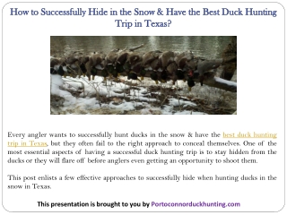 How to Successfully Hide in the Snow & Have the Best Duck Hunting Trip in Texas?