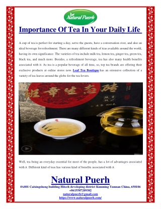 Importance Of Tea In Your Daily Life