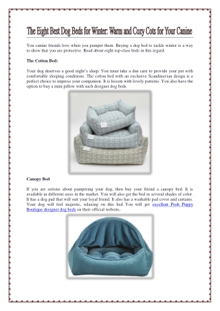 The Eight Best Dog Beds for Winter: Warm and Cozy Cots for Your Canine