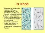 FLUIDOS