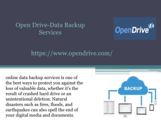 Open Drive-Data Backup Services