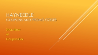 Hayneedle Coupons and Promo Codes