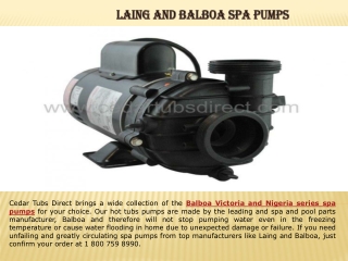 Laing and Balboa Spa Pumps