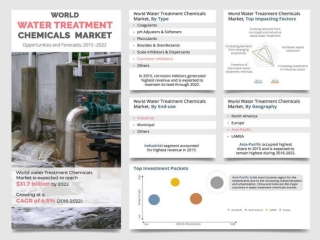 Water Treatment Chemicals Market Size Prognosticated to Perceive a Thriving Growth by 2022