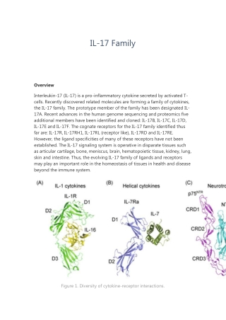 IL-17 Family