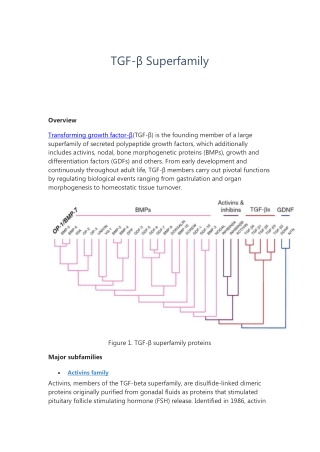TGF-β Superfamily