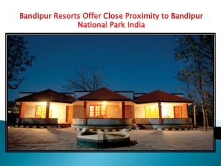 Bandipur Resorts Offer Close Proximity to Bandipur National Park India