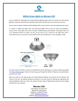 White Grow Lights at Morsen LED