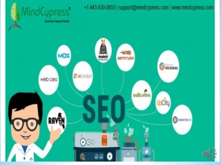 Digital Marketing Course | SEO ,SMO PPC |Digital Marketing Courses Online |MindCypress