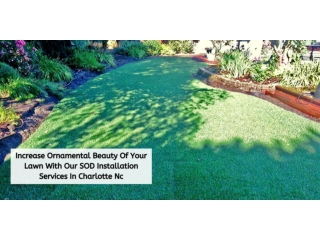 Increase Ornamental Beauty Of Your Lawn With Our SOD Installation Services In Charlotte Nc