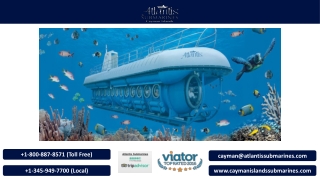 Ride in a submarine post-sunset and experience the marvels of nature