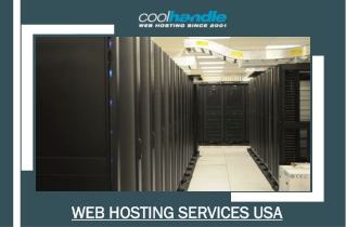 Web Hosting Services USA