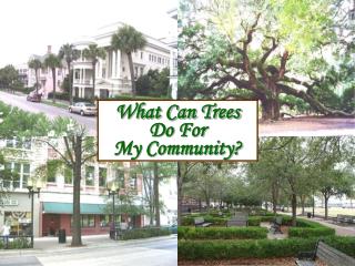 What Can Trees Do For My Community?