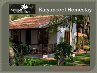 luxury accommodation in chikmagalur