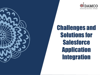 Challenges and Solutions for Salesforce Application Integration
