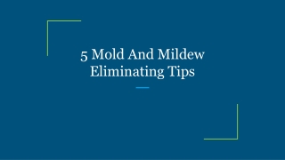 5 Mold And Mildew Eliminating Tips