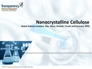 Nanocrystalline Cellulose Market Predicted to Rise at a Lucrative CAGR throughout 2026