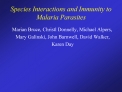 Species Interactions and Immunity to Malaria Parasites
