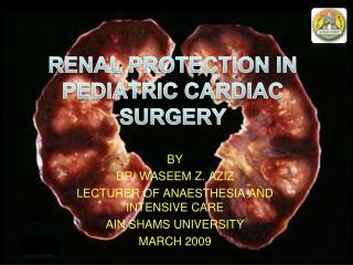 RENAL PROTECTION IN PEDIATRIC CARDIAC SURGERY