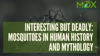 Interesting But Deadly: Mosquitoes in Human History and Mythology