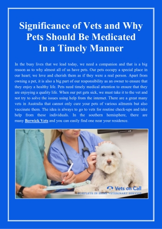 Why Vets are Important and Why Pets Should Be Medicated frequently