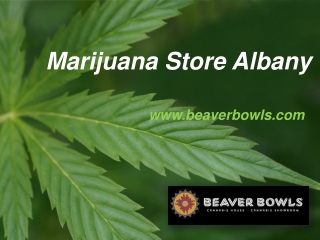 Marijuana Store Albany - www.beaverbowls.com