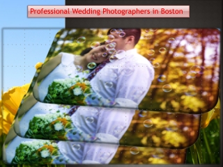 Professional Wedding Photographers in Boston