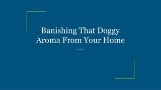 Banishing That Doggy Aroma From Your Home