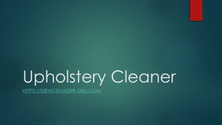 Upholstery Cleaner