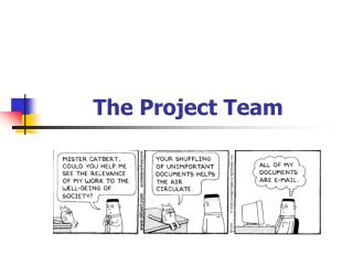 The Project Team