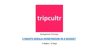 5 NIGHTS KERALA HONEYMOON IN A BUDGET