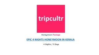 EPIC 4 NIGHTS HONEYMOON IN KERALA